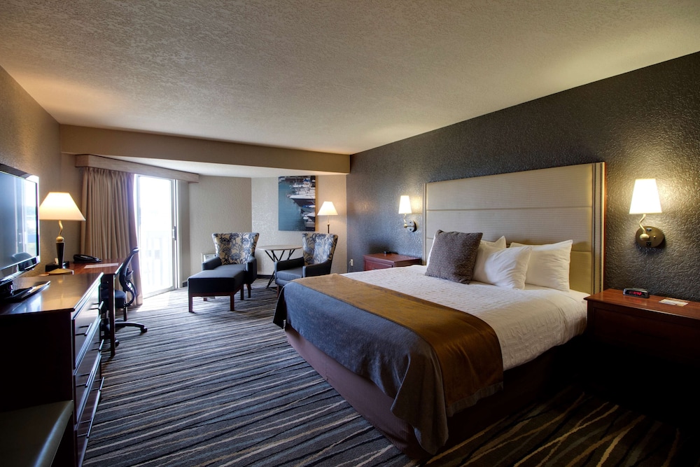 Standard Room, 1 King Bed, Refrigerator, Partial Lake View