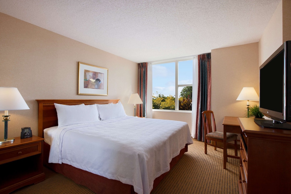 Suite, 1 King Bed - Photo 4