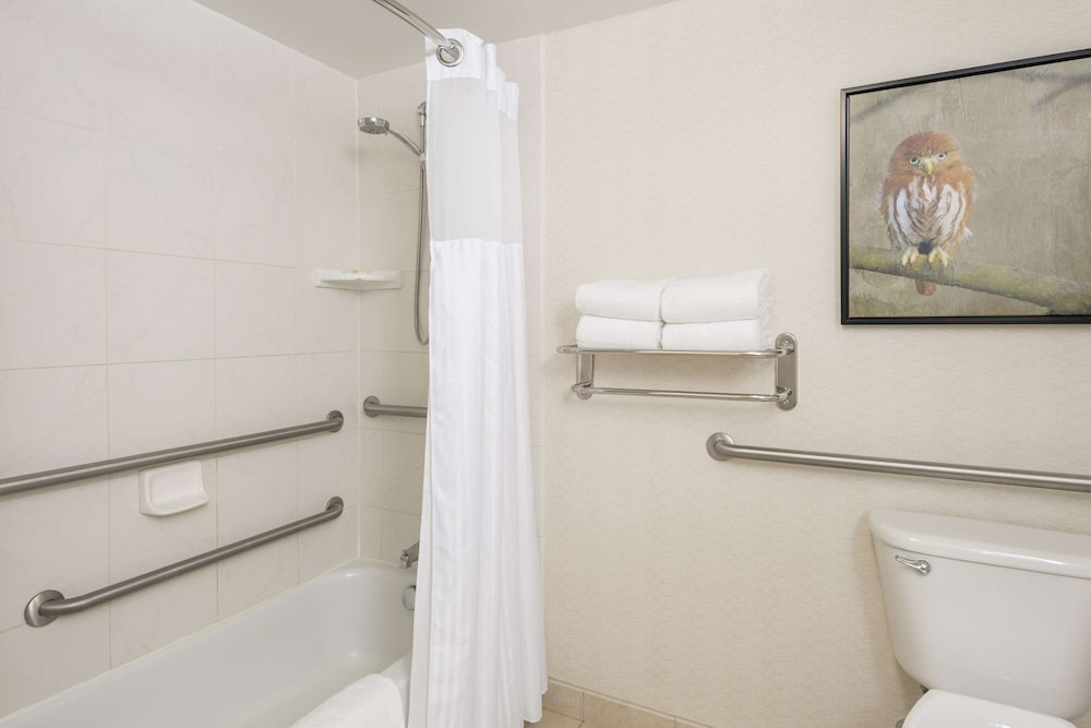 King Bed Accessible Room - Photo 4