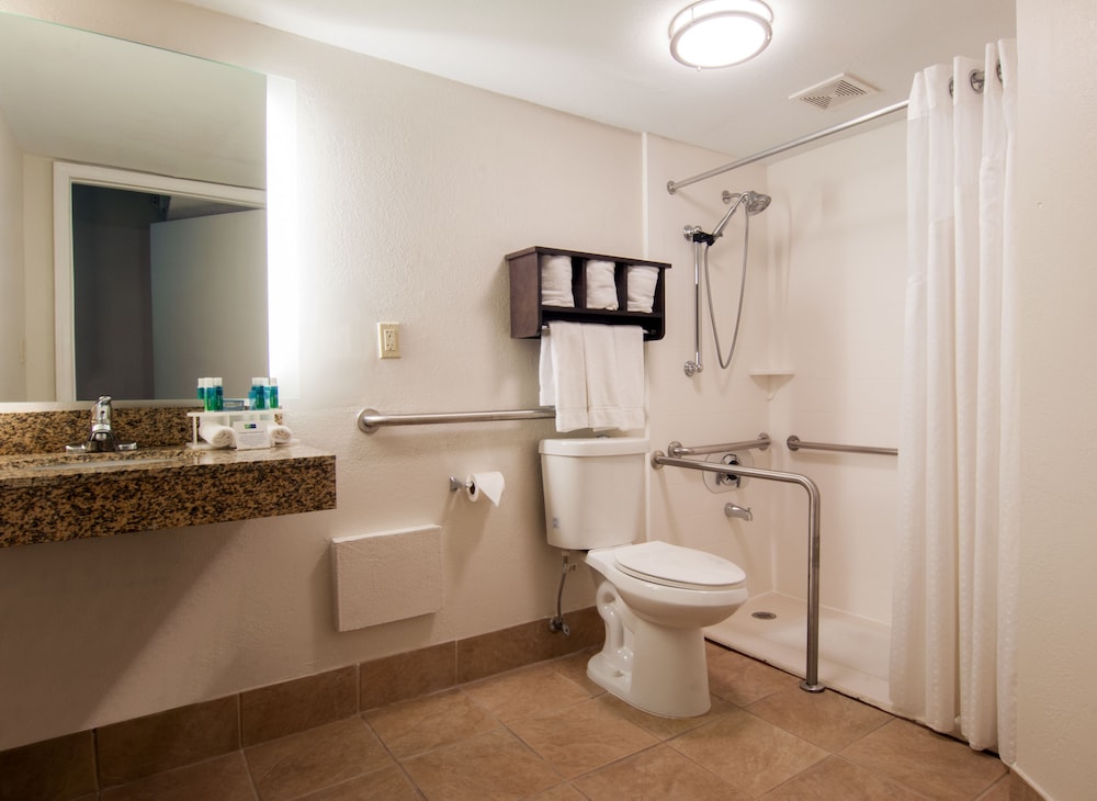 Standard Room, 1 Queen Bed, Accessible (Comm, Roll Shwr) - Photo 3