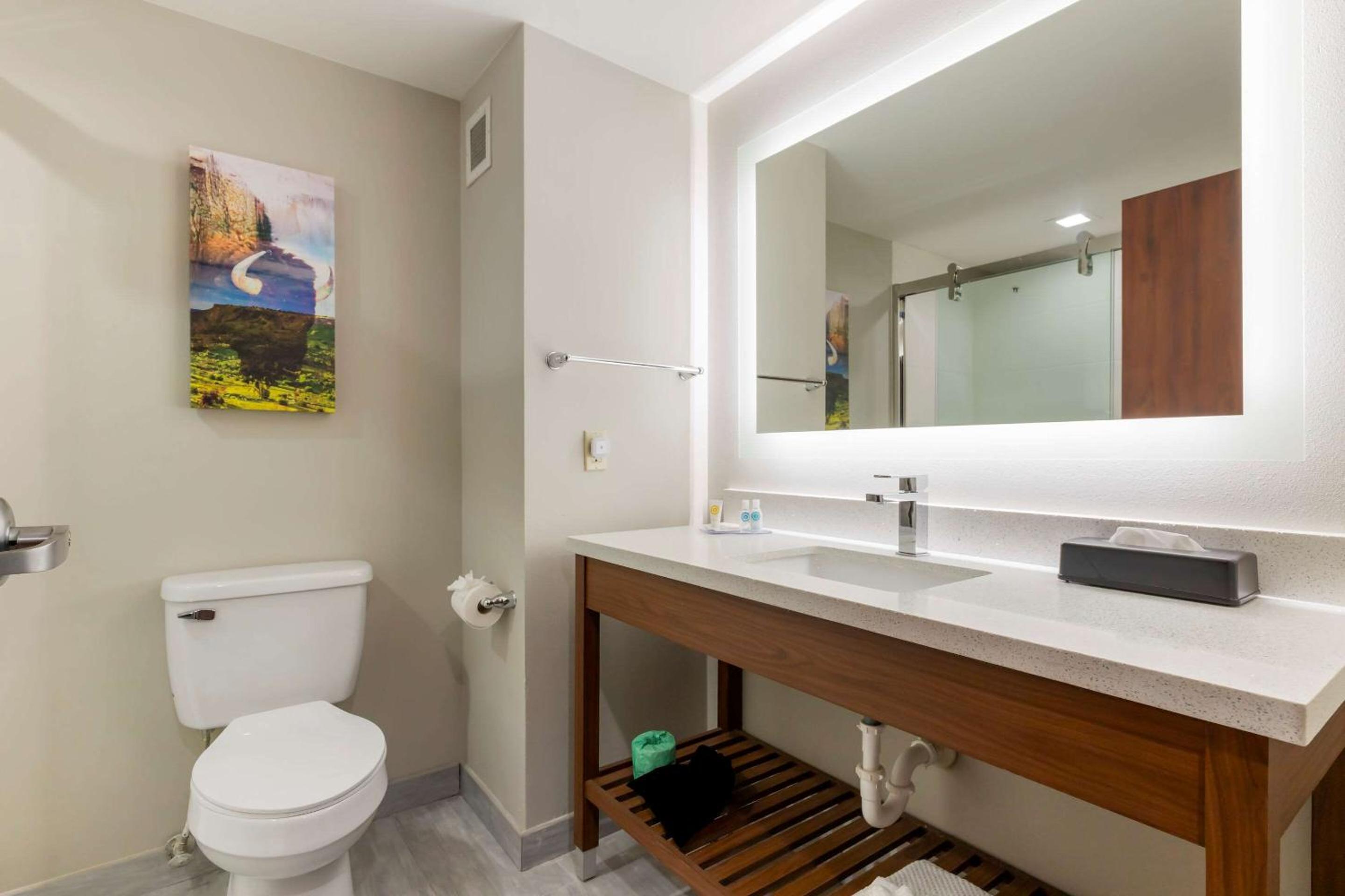 King Suite - Photo 3