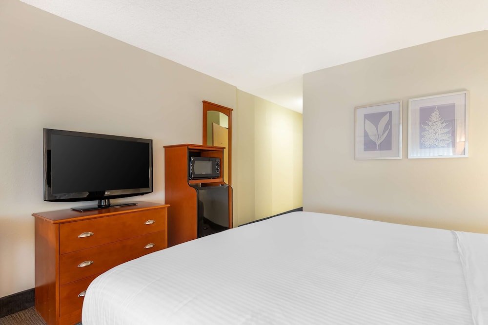 Standard Room, 1 King Bed, Accessible, Bathtub - Photo 2