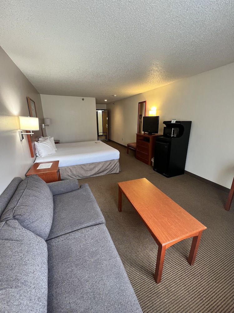 Suite, 1 King Bed photo 2