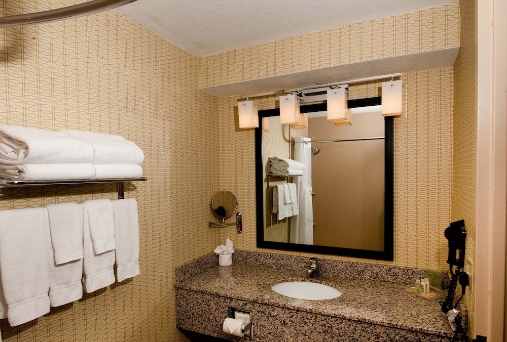 Suite, 1 King Bed - Photo 10