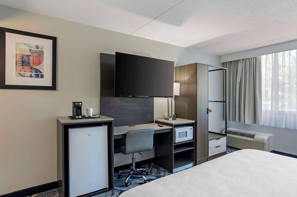 Standard Room, 1 King Bed, Non Smoking, Refrigerator & Microwave - Photo 6