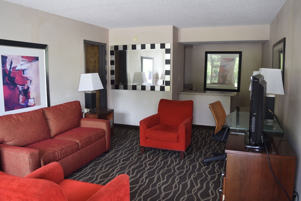 Premium Suite, 1 King Bed (No Pets Allowed) photo 1