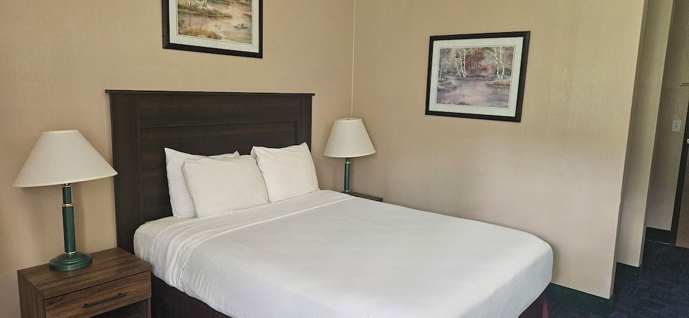 Deluxe Single Room, 1 Queen Bed, Accessible photo 1