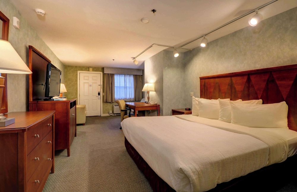 Presidential Room with 1 King Bed