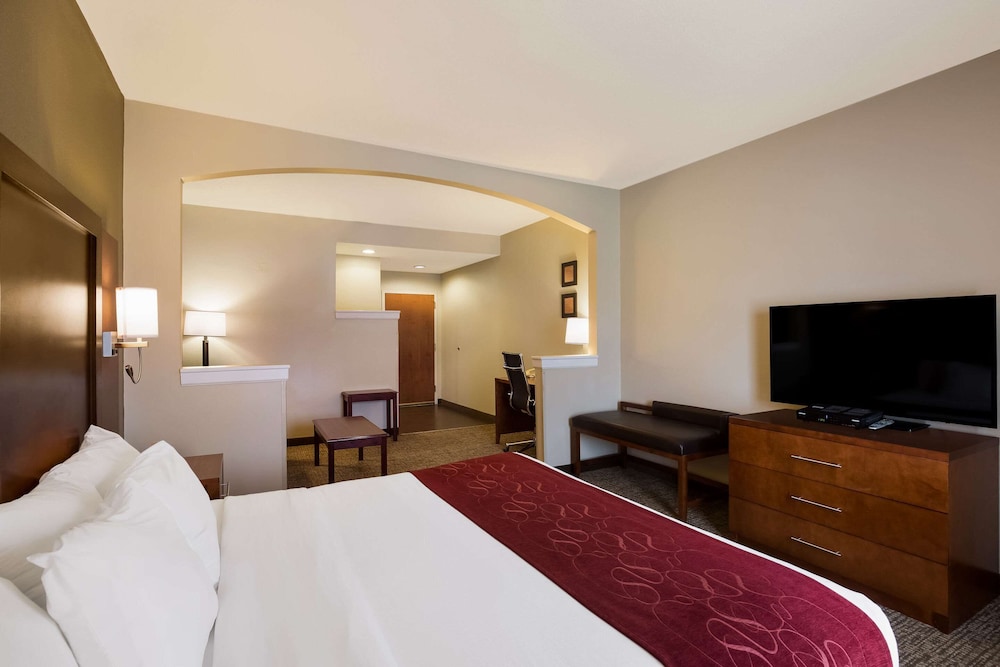 Suite, 1 King Bed with Sofa bed, Non Smoking - Photo 8