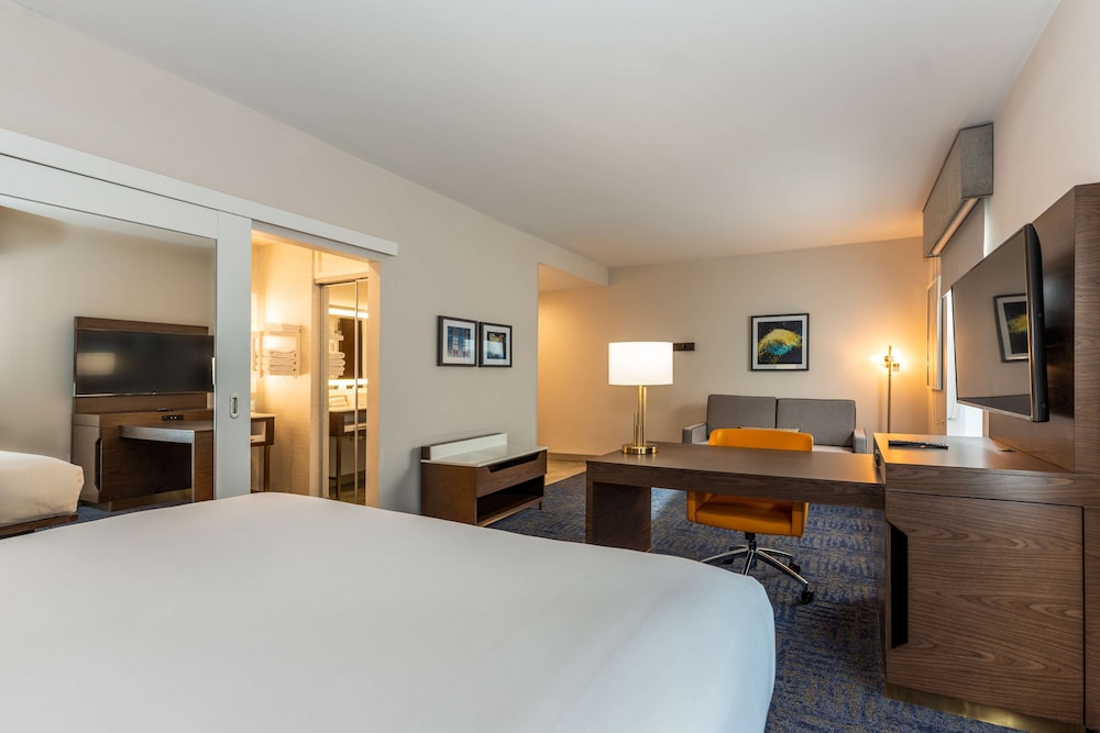 Suite, 1 King Bed, Accessible, Refrigerator & Microwave (Refrigerator & Microwave) - Photo 8