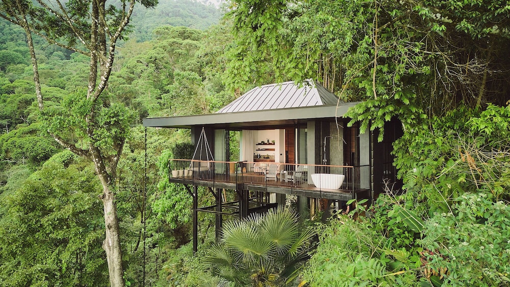 Luxury Tree House, 1 King Bed