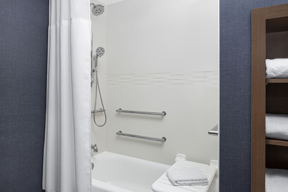 Studio, 1 King Bed with Sofa bed (Mobility/Hearing Accessible, Tub)