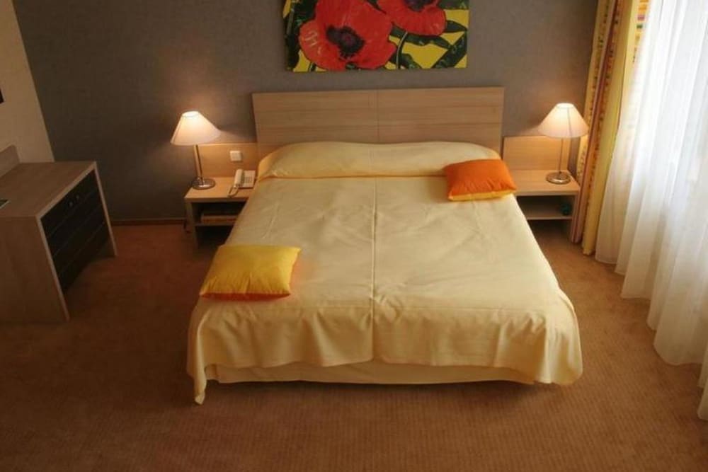 Deluxe Single Room photo 3