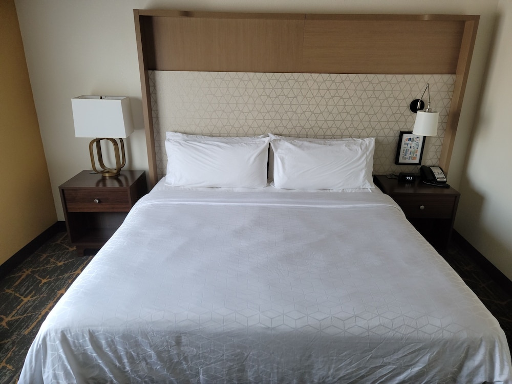 Suite, 1 King Bed, Accessible (Mobility, Roll-In Shower) - Photo 1