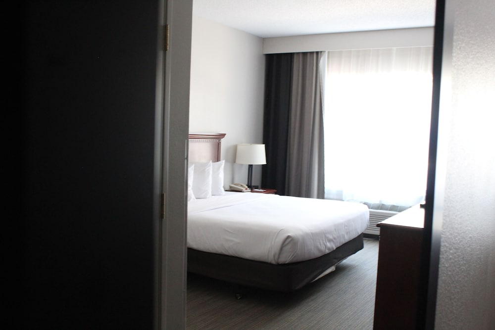 King One Bedroom photo 2