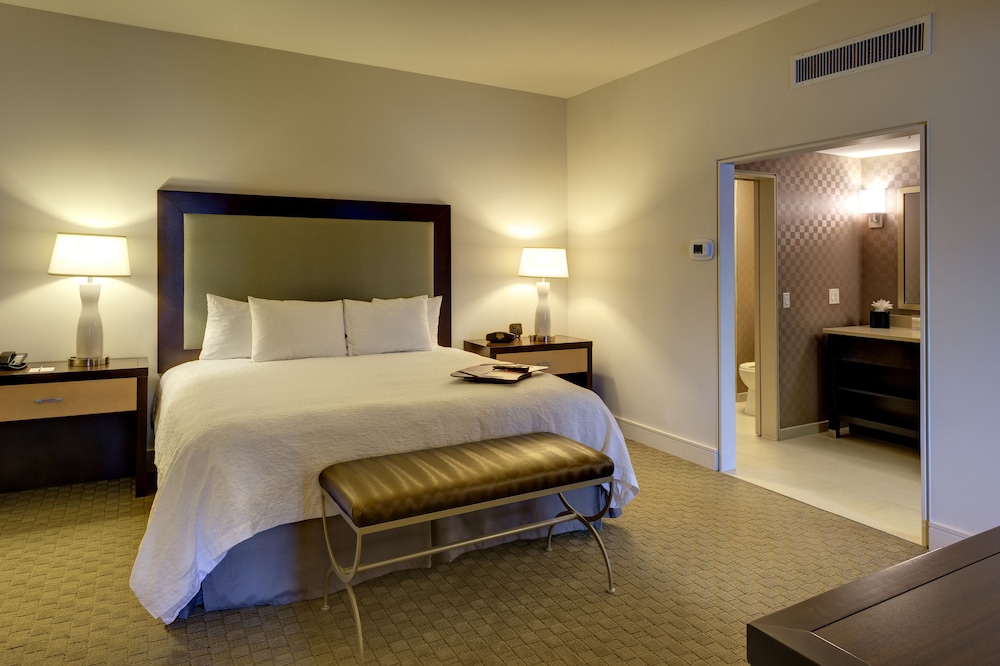 Suite, 1 King Bed with Sofa bed photo 2