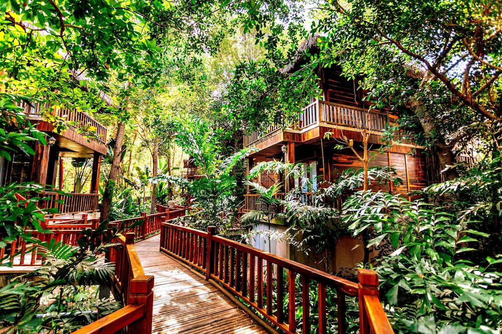 Premium Jungle Bungalow Twin - Photo 5