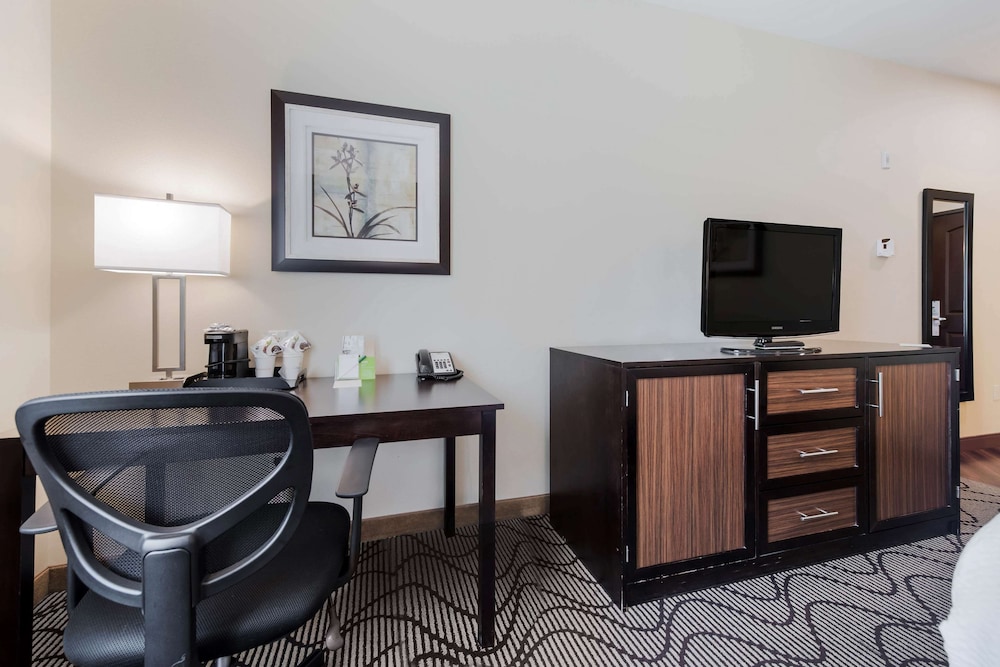 Deluxe Suite, 1 King Bed, Non Smoking (Efficiency) - Photo 1