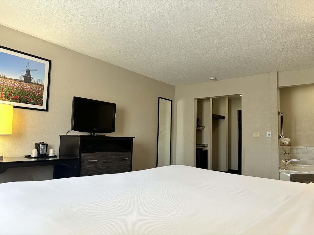 Deluxe Room, 1 King Bed, Non Smoking - Photo 1