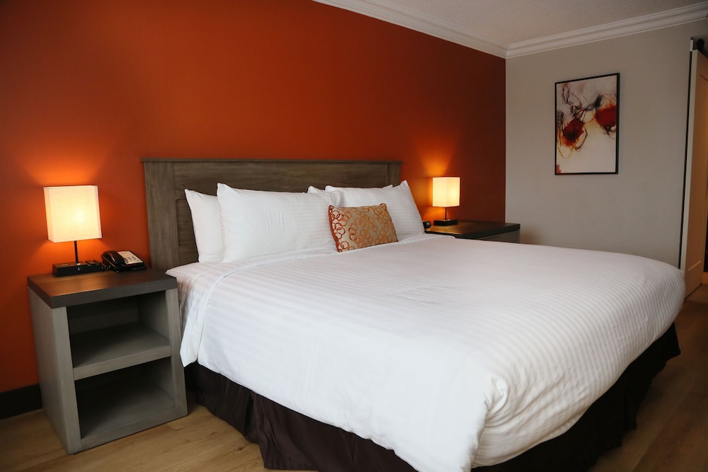 Deluxe Single Room, Non Smoking - Photo 10