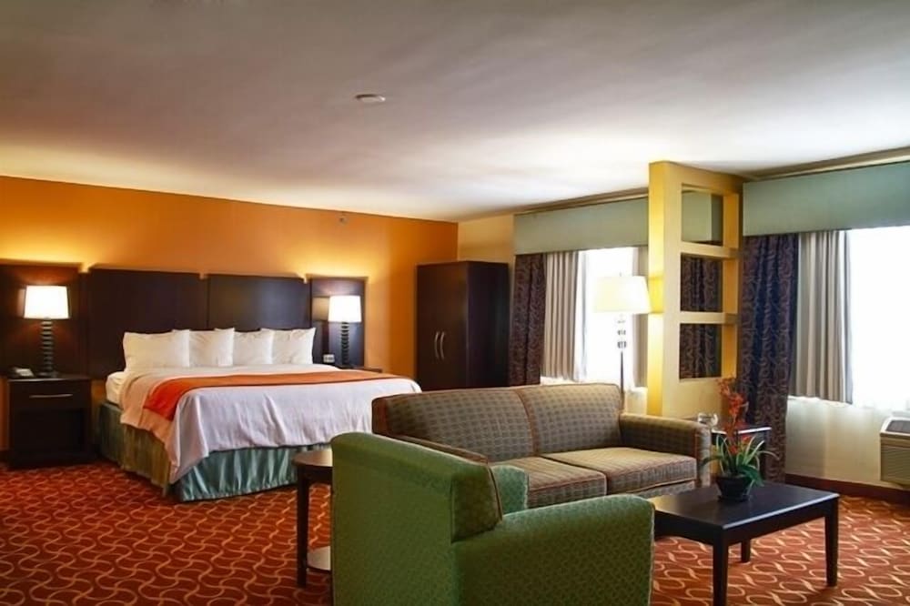 Deluxe Suite, 1 King Bed, Non Smoking photo 1
