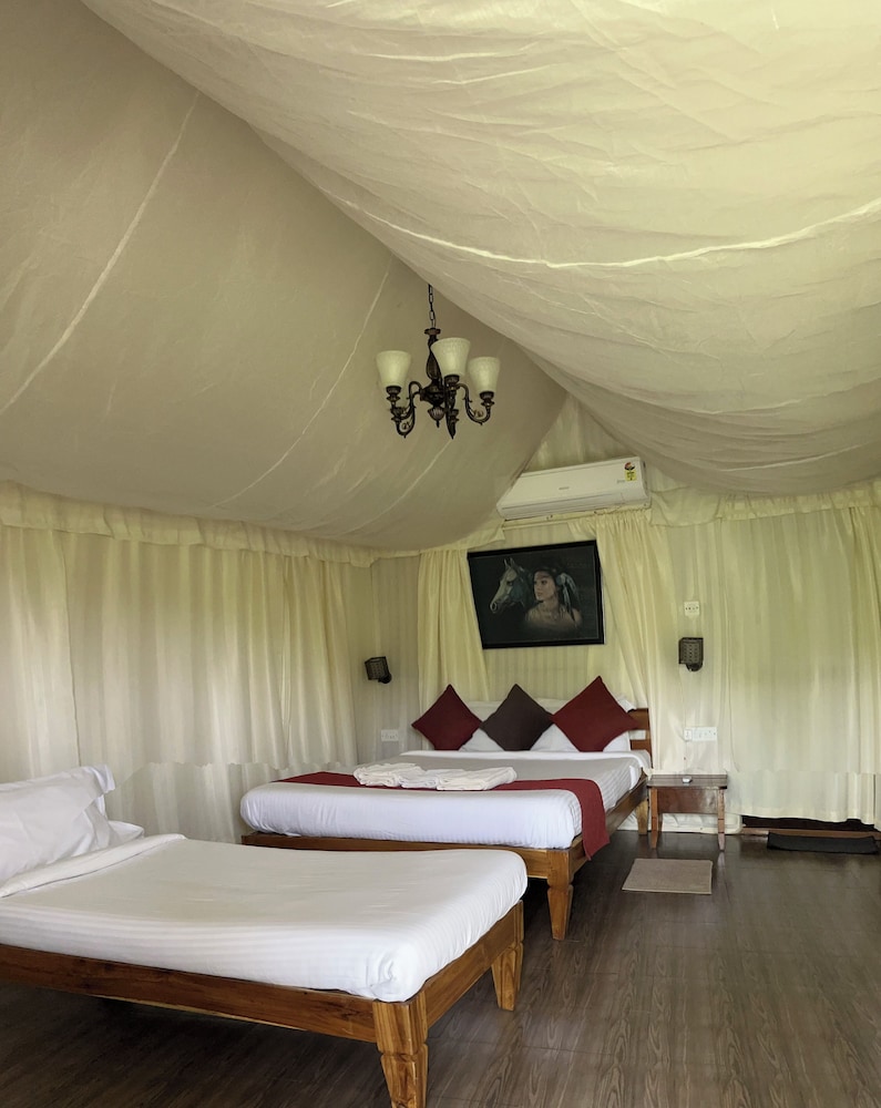 Luxury Tent - Photo 1