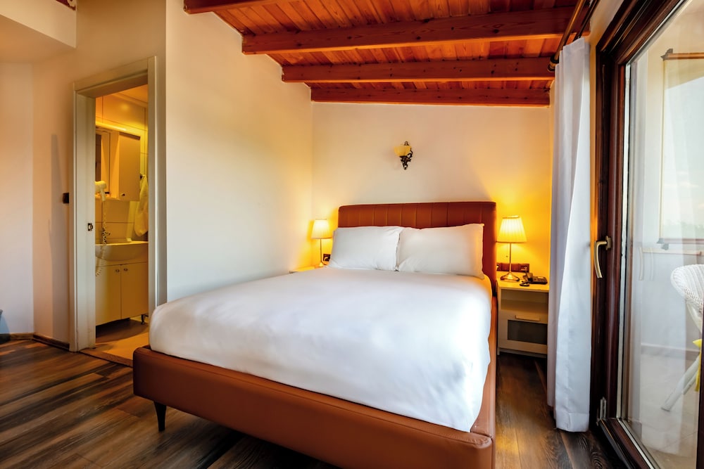Standard Double or Twin Room photo 2