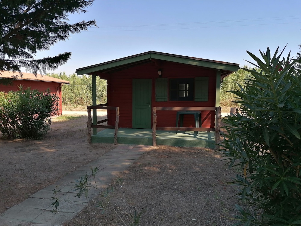 Basic Cabin