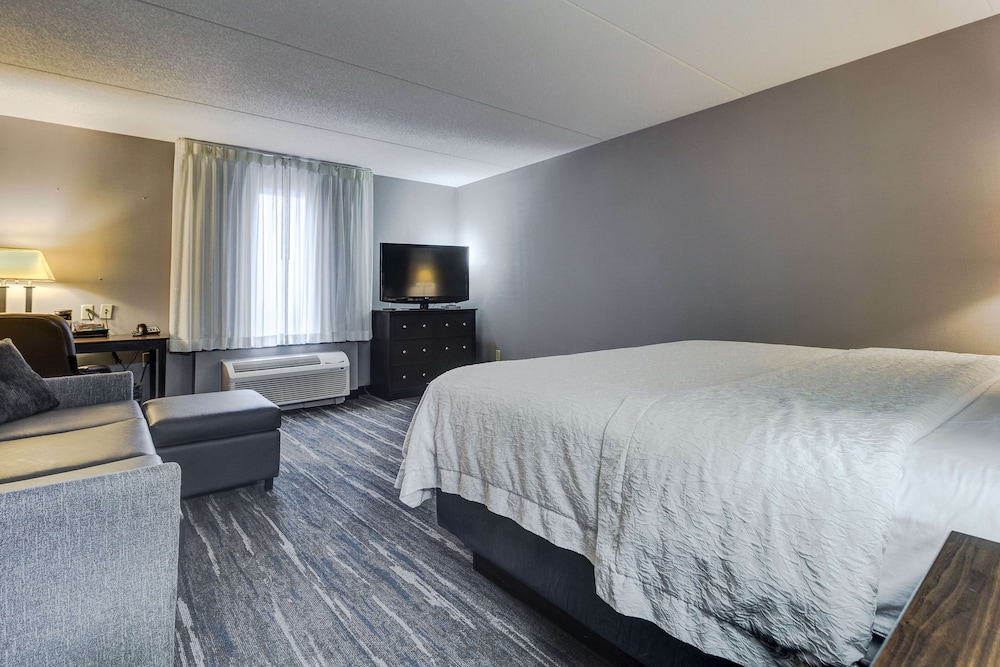 Room, 1 King Bed With Sofa Bed, Non Smoking, Refrigerator & Microwave photo 1