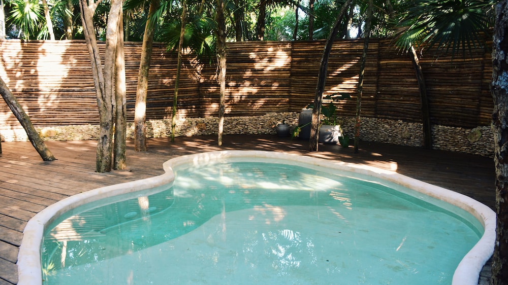 Casita Jungle With Pool - Photo 10
