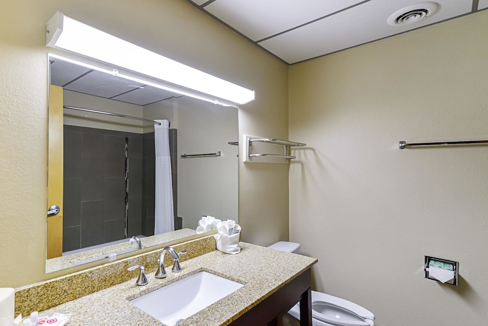 Suite, 1 King Bed, Accessible, Non Smoking photo 1
