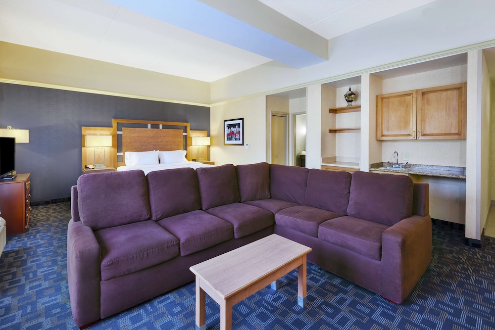 Suite, 1 King Bed with Sofa bed, Non Smoking (Hospitality) - Photo 3