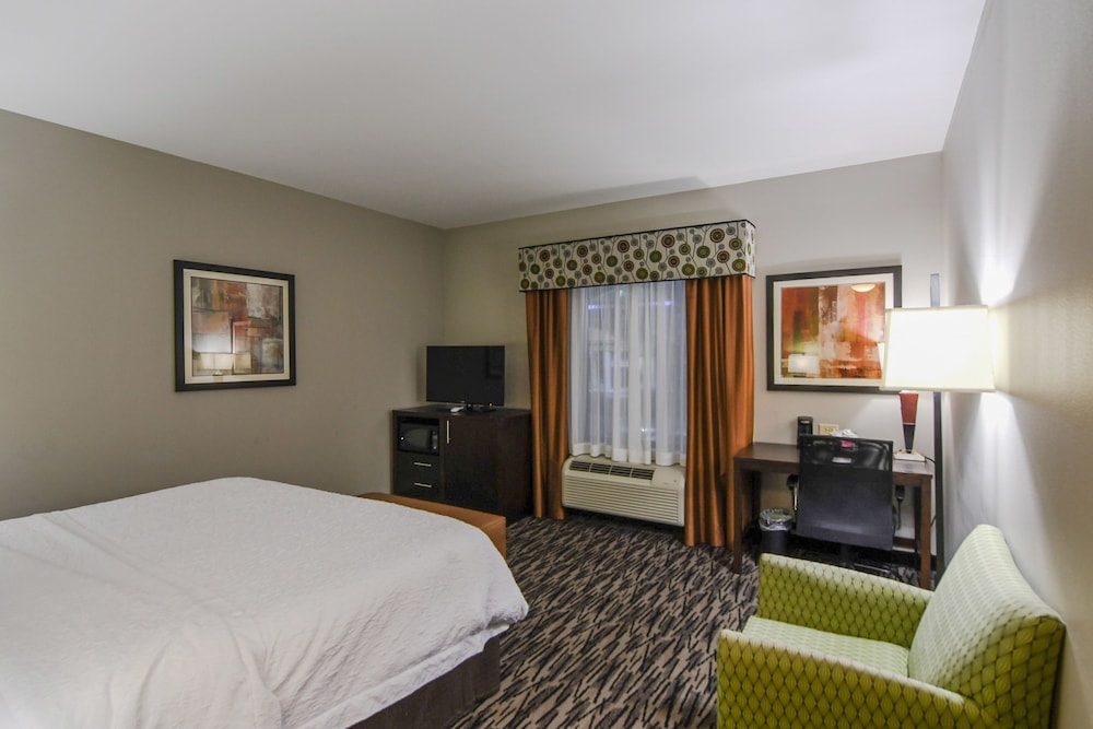 Room, 1 King Bed with Sofa bed, Non Smoking (Hearing) photo 3