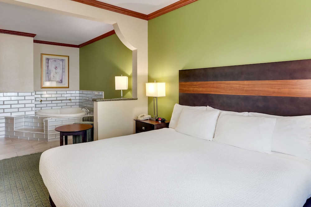 Suite, 1 King Bed, Non Smoking, Jetted Tub - Photo 4