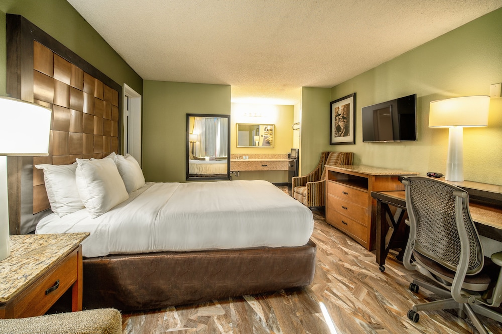 Deluxe Double Room photo 1