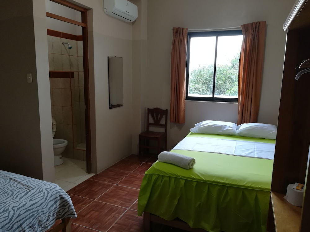 Twin Room photo 2
