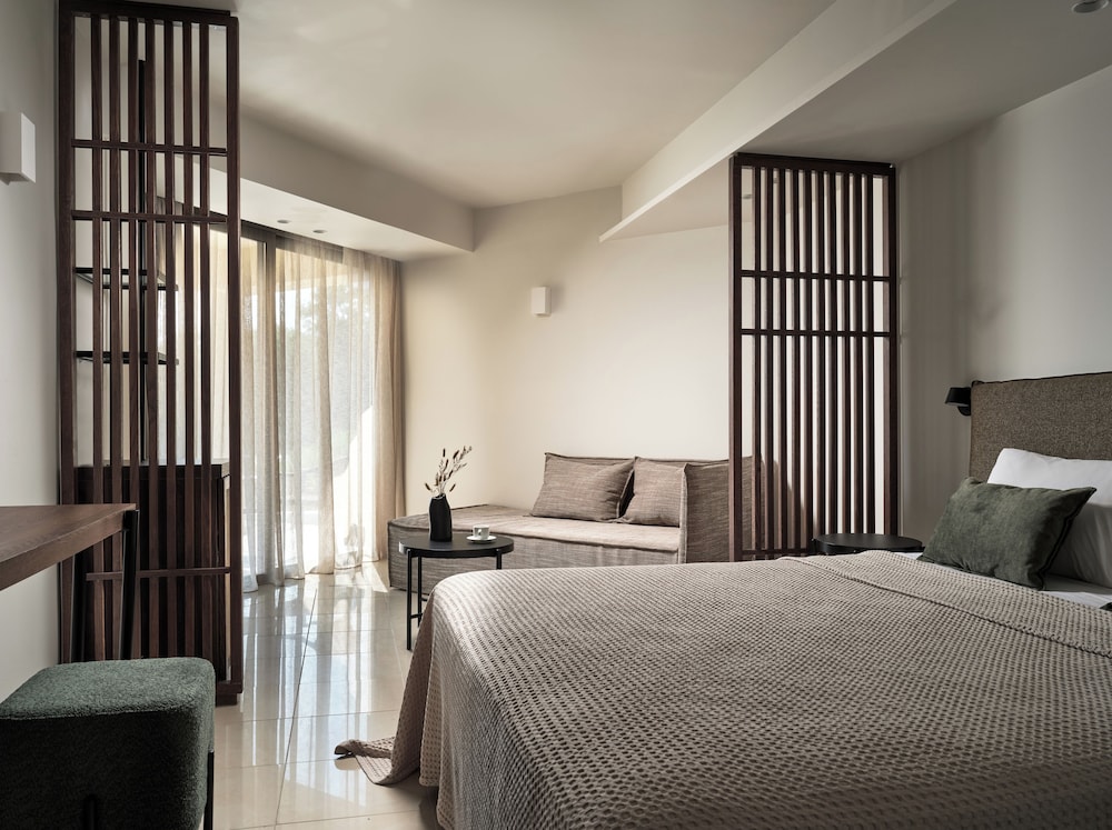 Deluxe Double or Twin Room photo 3