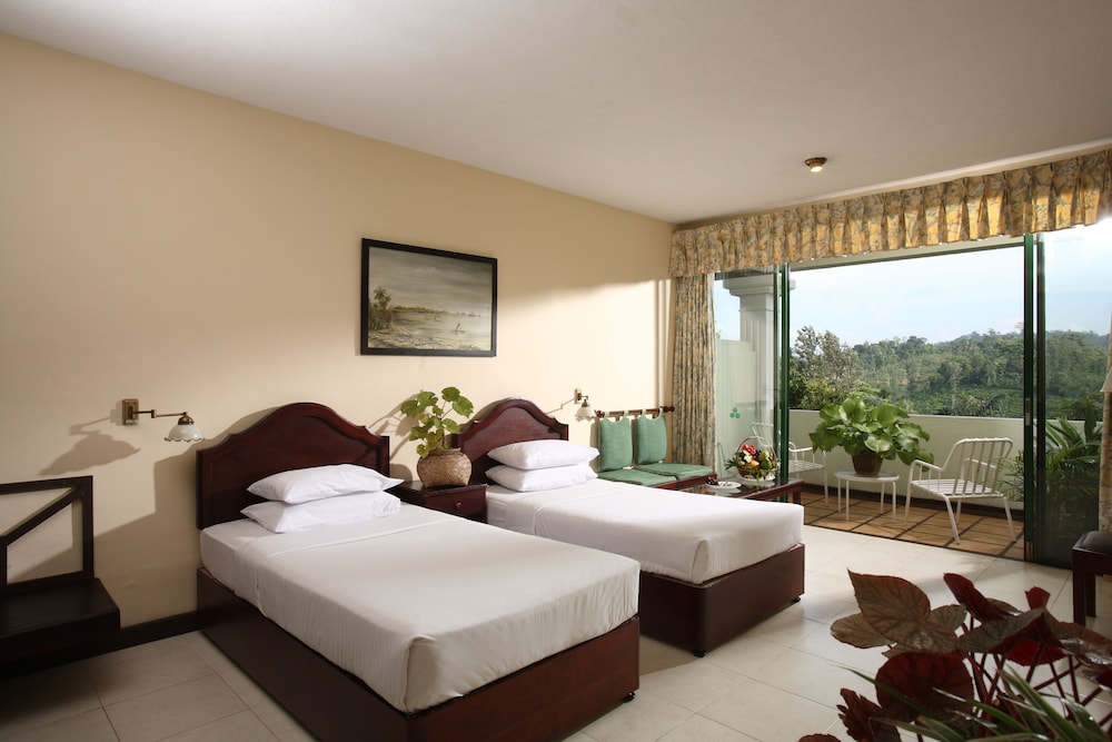 Deluxe Room - Photo 6