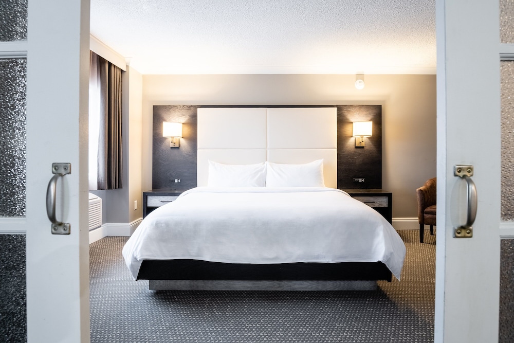 Suite, 1 Bedroom - Photo 6