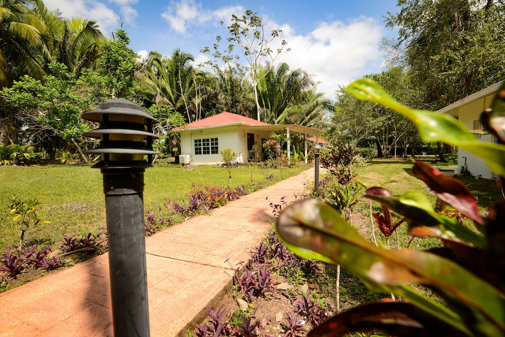 Comfort Cabin, 1 King Bed with Sofa bed, Kitchenette, Pool View