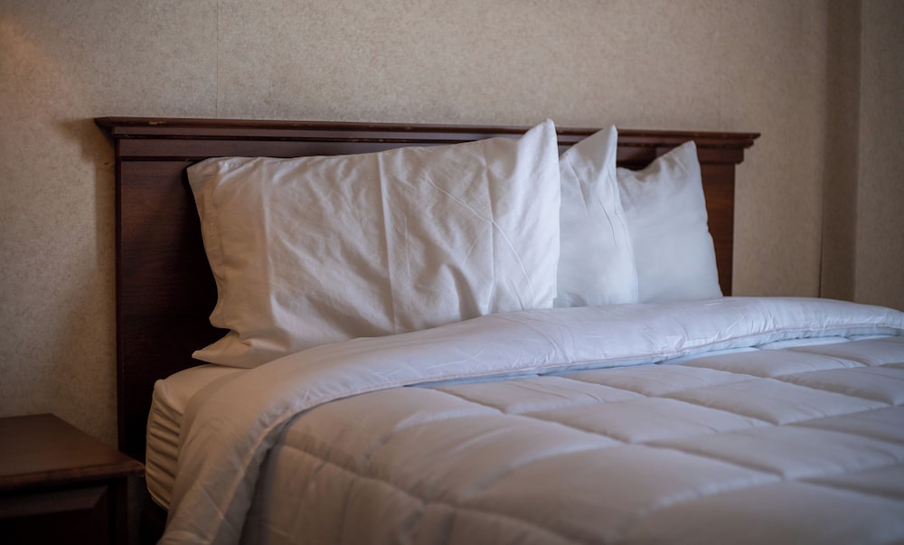 Ocean Front 1 Queen Bed photo 3
