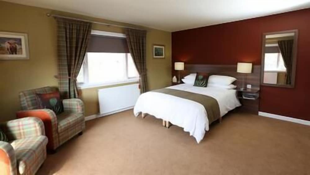 Family Room, 1 King Bed photo 2