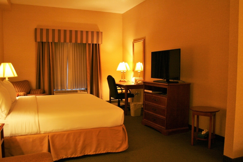 Suite, 1 King Bed - Photo 4