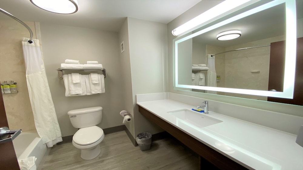 Standard Room, 1 King Bed, Accessible (Communications, Roll-In Shower) - Photo 6