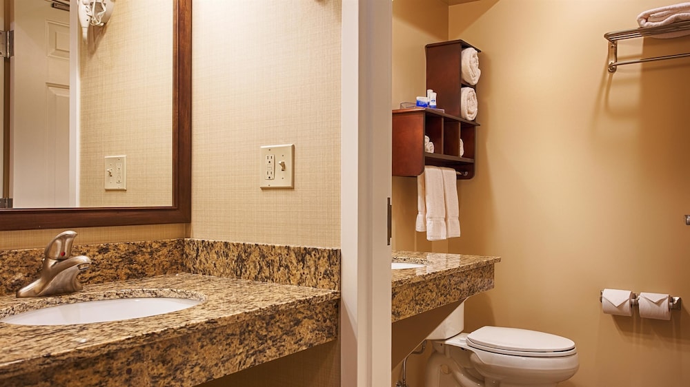 Suite, 1 King Bed, Non Smoking, Kitchenette (Walk-in Shower;with Sofabed) - Photo 9