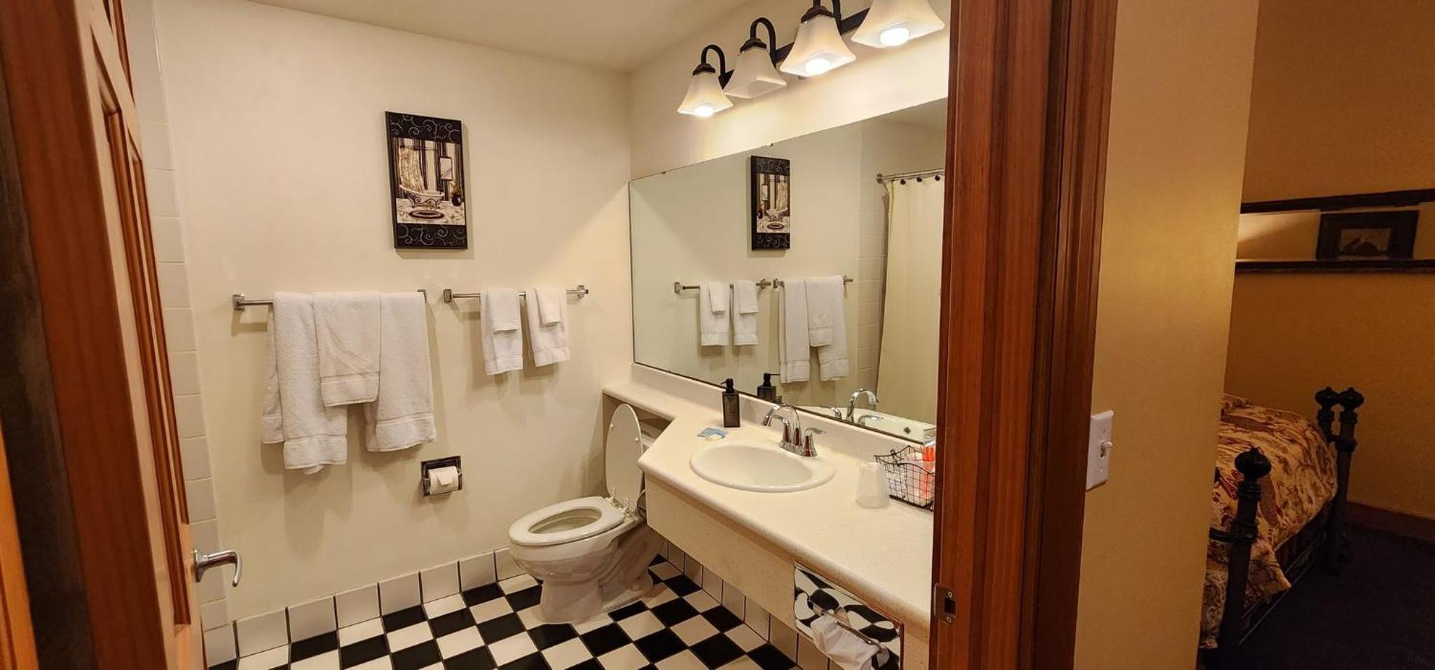 Deluxe Single Room photo 3