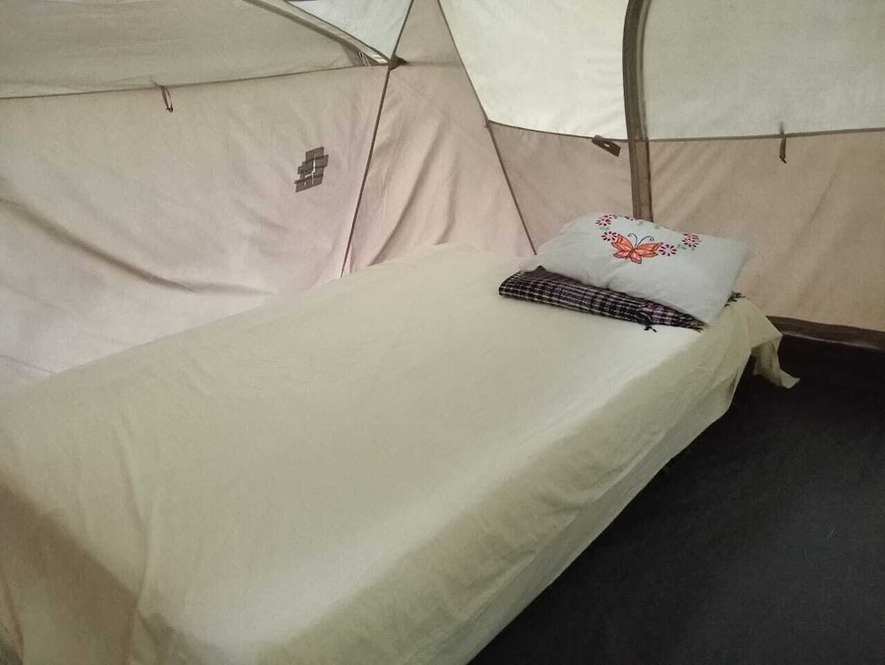Tent, 2 Queen Beds photo 3