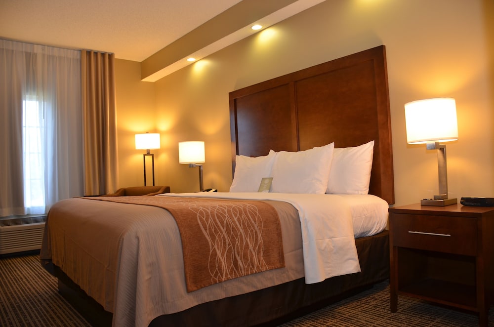 Suite, 1 King Bed with Sofa bed, Accessible, Non Smoking - Photo 1