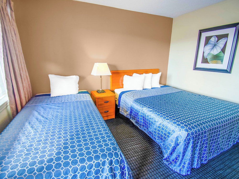 Single Room, 2 Twin Beds photo 2