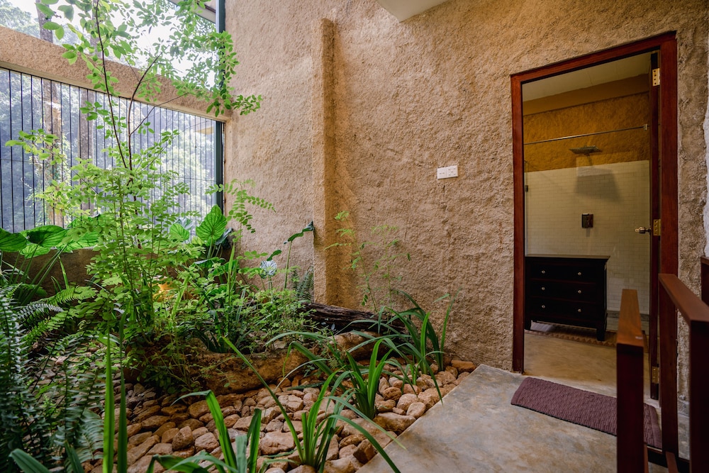 Luxury Room, 1 Bedroom photo 3
